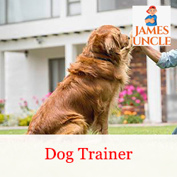 Dog trainer Mr. Sandip Das in Rabindra Nagar